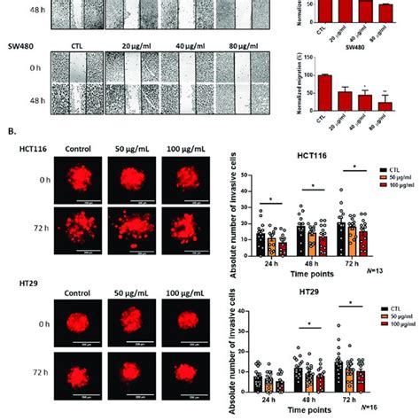 Migration And Invasion Of Crc Cell Lines Hct Ht And Sw Upon