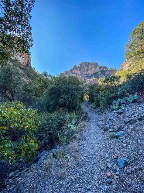 Big Bend Guide Pine Canyon Trail