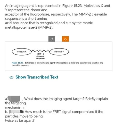 Answered Molecule X Mmp 2 Cleavable Sequence Bartleby