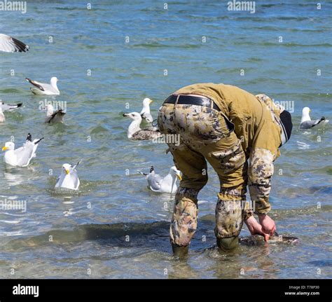 Mar masculino pescador limpiando su línea de capturas de pescado