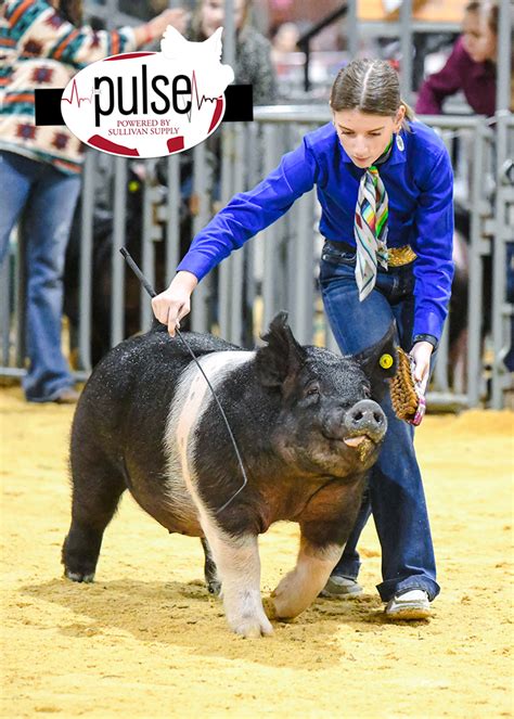 San Angelo Stock Show Saturday Show Down The Pulse