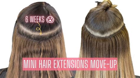 Hair Extension Mini Move Up Appointment Every Six Weeks Detailed