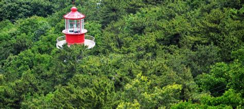 Lighthouse and forest stock image. Image of architecture - 25622937