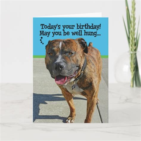 Funny Pit Bull Birthday Card