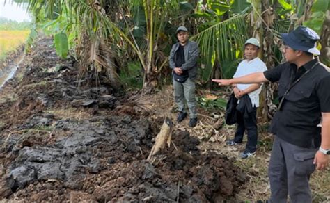 Agricom Id Kementan Genjot Swasembada Pangan Di Kalimantan Tengah