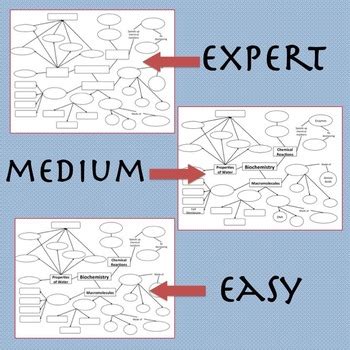 Biochemistry Concept Map: Macromolecules, Enzymes & Properties of Water