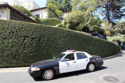 Johnny Lewis -- Crime Scene Photos | Photo 25 | TMZ.com