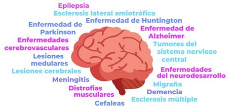 Medicina de Precisión en enfermedades neurológicas Genotipia