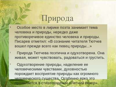 Сочинение: «Природа в июле» >