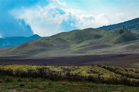 Bukit Teletubbies Bromo Keajaiban Alam Di Tengah Gunung Bromo Tengger