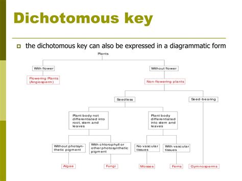 Ppt Dichotomous Keys Powerpoint Presentation Free Download Id 6088751