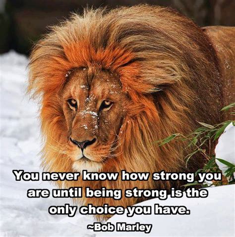 Strength and Courage | GriefandMourning.comGriefandMourning.com