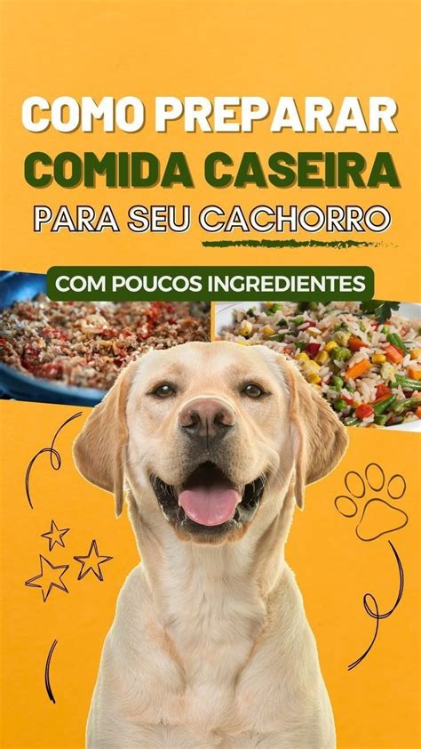 Torne o seu cachorro mais saudável e feliz o nosso ebook de