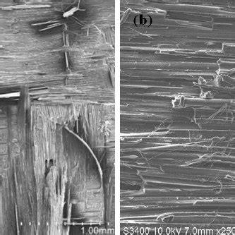 Sem Images Of The Fracture Surfaces Of A Dcb Specimen Of The Cef Pw