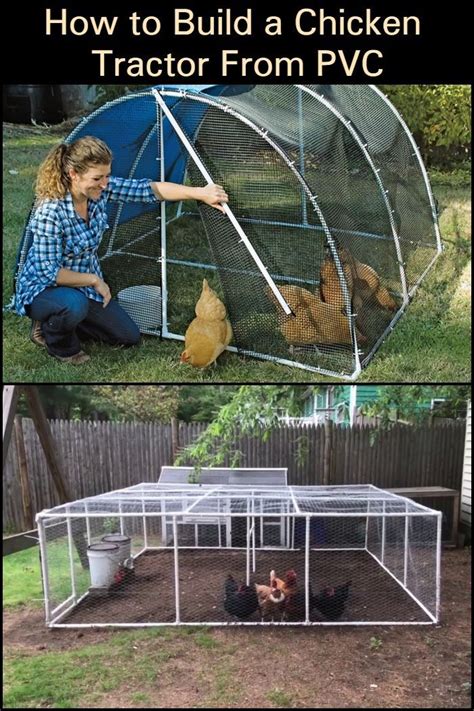 Easy To Move Around Pvc Chicken Tractor Artofit