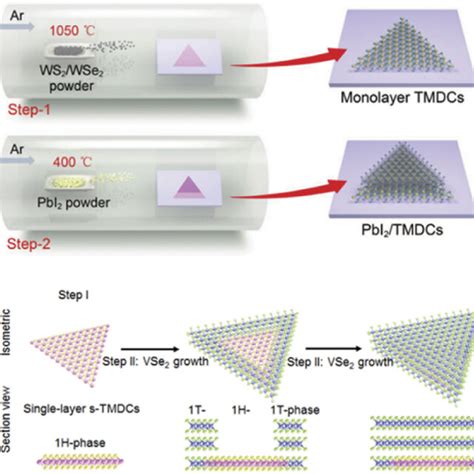 A Schematic Illustration Of The Fabrication Of Pbi2tmds