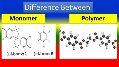 Difference Between Monomer And Polymer Youtube