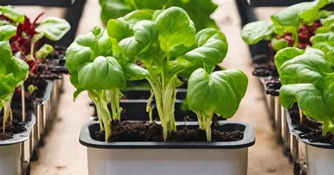 Indoor Hydroponic Gardening The Ultimate Beginners Guide