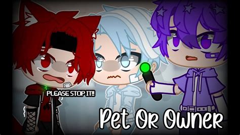 Pet Or Owner Meme Gacha Club Inquisitormaster YouTube