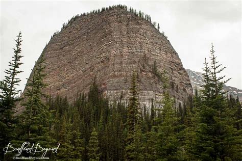 Tea House Easy Hike Lake Louise Guide And Tips Big Beehive Near Lake