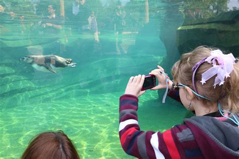 Public flocks back to Paris Zoo after six-year break