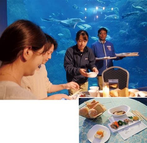 夜の水族館で地魚を堪能 Bistroえのすい和やかに〈藤沢市〉（タウンニュース）｜dメニューニュース（nttドコモ）