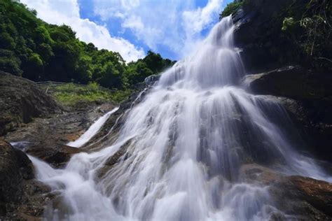 县长带你游龙岩走进武平！闯入梁野山仙境，领略天然氧吧的诗情画意 时政动态 武平新闻网