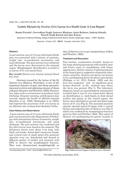 PDF Gastric Myiasis By Oestrus Ovis Larvae In A Sirohi Goat A Case