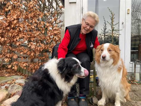 Hundetr Ner Kan Ikke L Ngere Lukke Jnene For Det En Hund Er Ikke