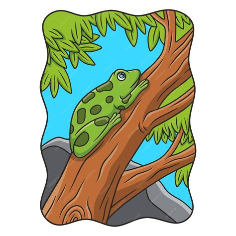 Climbing Tree Frog Drawings