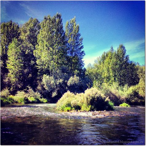 El Condado II, un coto con mucha vida