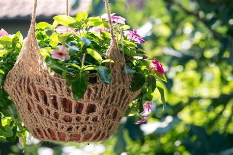 Premium Photo Close Up Of Flowering Plant Hanging From Tree