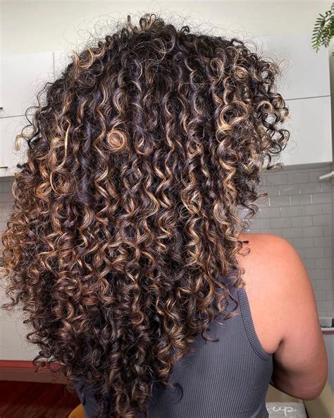 18 Stunning Curly Hair Highlights Ideas For 2023 Highlights Curly Hair Colored Curly Hair