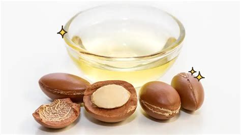 20 Manfaat Minyak Argan Untuk Rambut Kulit Dan Kesehatan Orami