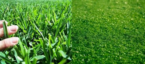 Artificial Grass vs. Turf in Perth: Making the Right Choice