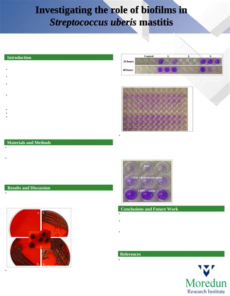 Pdf Investigating The Role Of Biofilms In Streptococcus Uberis Mastitis