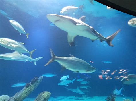 THE 10 BEST Things to Do in Albuquerque with Kids (2026)