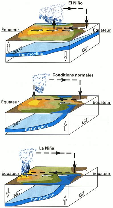 Oc An Et Climat Chapitre L Interaction Des Oc Ans Tropicaux Avec L