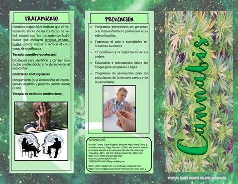 Triptico Marihuana Tratamiento Prevenci N Estudios Disponibles