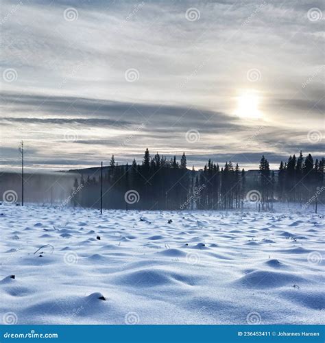Winter Wasteland on a Misty Day in Lapland Stock Image - Image of