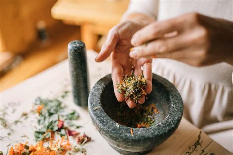 Les plantes médicinales essentielles à cultiver dans votre jardin