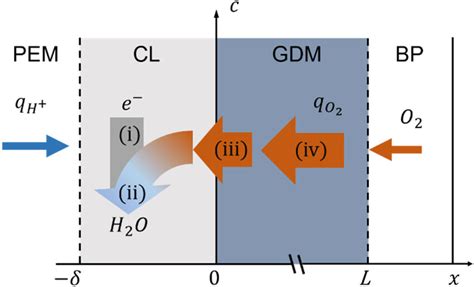 Processes Happened In The Cathodic Side Of Pemfcs I Process Of Orr