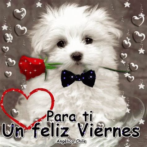 Buenos Dias Feliz Viernes Amigosdeaquiydeallacompartiendo Gabitos