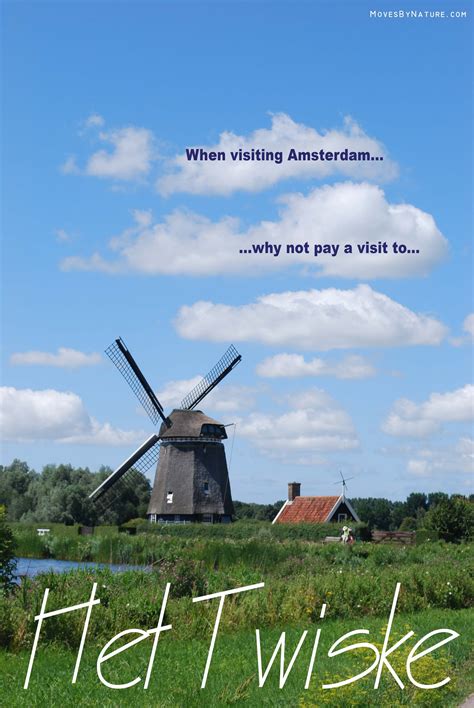 30 reasons to visit the netherlands – Artofit