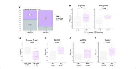 Tumor Mutational Burden Tmb And Clinicopathological Variables Download Scientific Diagram