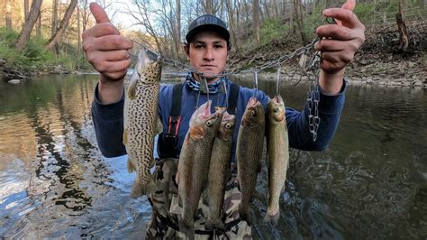 increíble día pescando truchas mi mejor señuelo para la pesca de