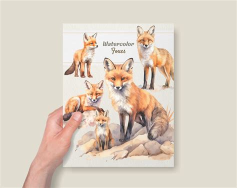 Watercolor Foxes Clipart Digital Illustration Baby Fox PNG Commercial Use - Etsy