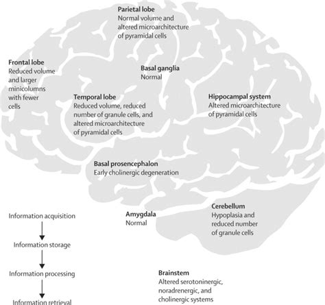 Cognitive Deficits And Associated Neurological Complications In