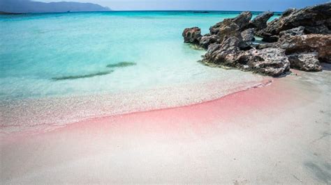 Elafonisi Creta Dicas De Viagens Grécia A Praia Rosa