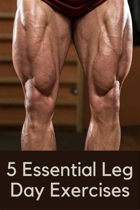 These Essential Leg Day Exercises Will Help To Maximize Your Lower Body